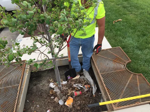 Contech Filterra® Bioretention