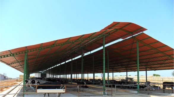 Ondumit Ondule Roof