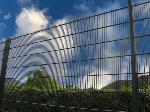 Zaun Dualguard Fencing