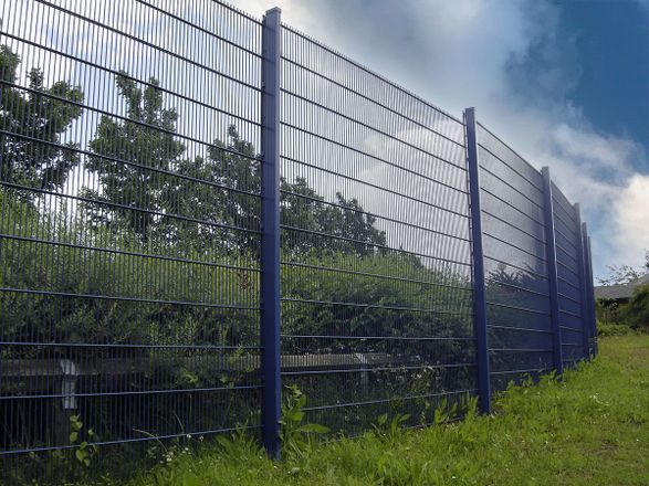 Zaun Dualguard Fencing