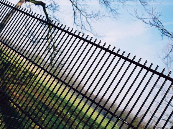 Zaun Dualguard Fencing