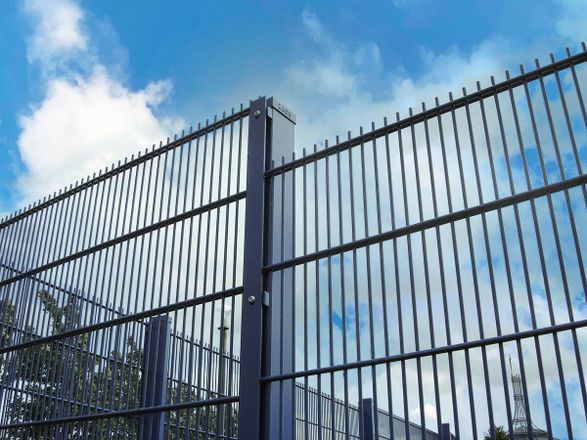 Zaun Dualguard Fencing