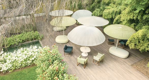 Paola Lent Clique Parasol