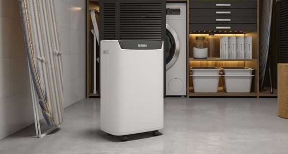 Olimpia Splendid Aquaria S1 12 P Dehumidifier