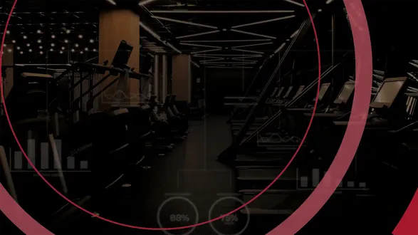 Lifespan Powermill Climber Stepper Machine