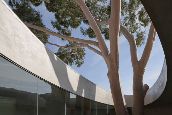 Gallery For A Tree "Flyover" Marcellin College