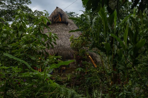 Hampi Samay Wasi: Regenerative Architecture And Ancestral Memory In The Kichwa Amazon