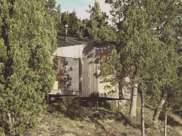 Sauna In The Woods