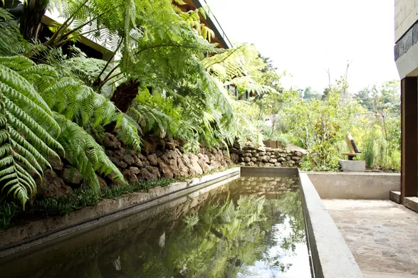 El Humedal (The Wetland)