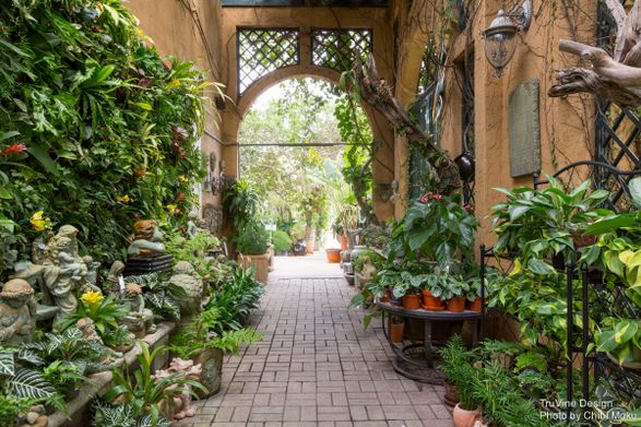Architecture Spotlight #84 | Living Walls by TruVine Design | Delray Beach, Florida