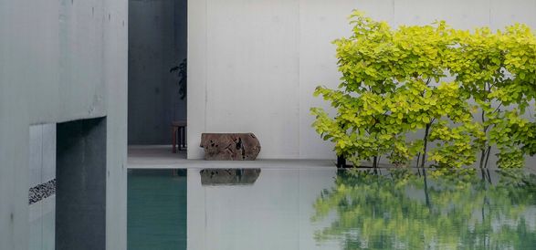 Borderless House