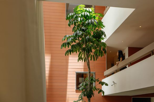 In-Between House