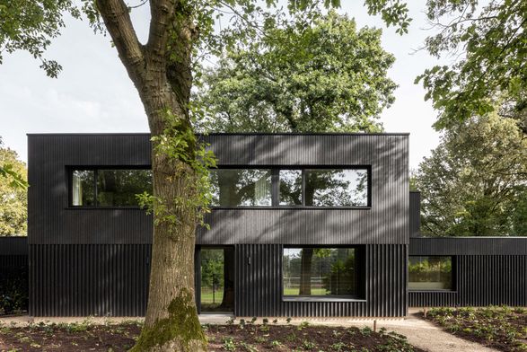 Renovation Park Villa Eindhoven