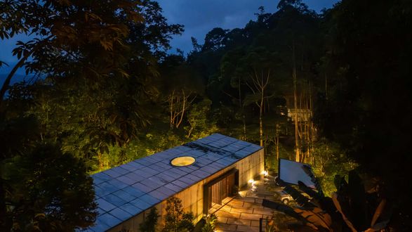 The Rainforest Residence