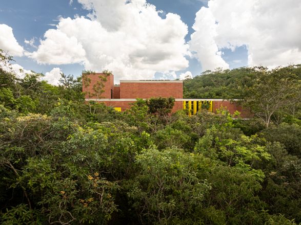 House of the 7 Trees