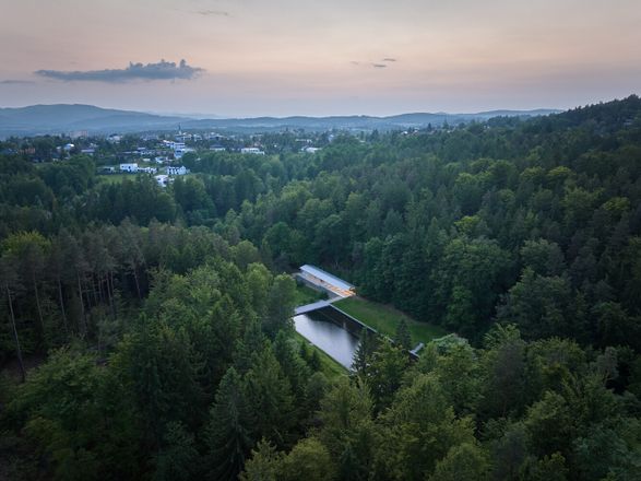 Forest Pool