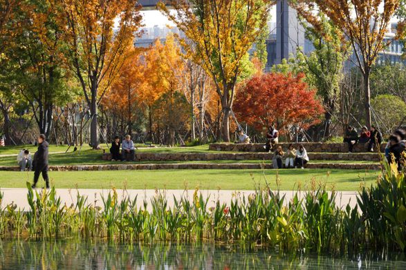 Alibaba Xixi Campus (Park C)