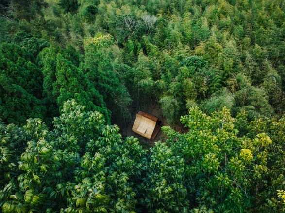 Bamboo Cabin Plan : Sticky Rice Dumpling