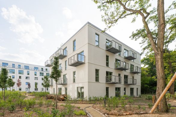 Timber Residential Construction Kit