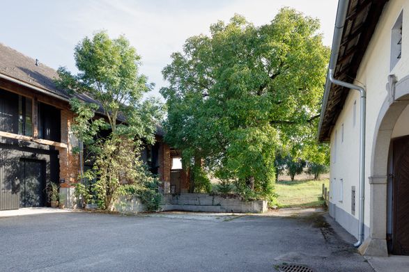 Dirnbergergut Building Ensemble