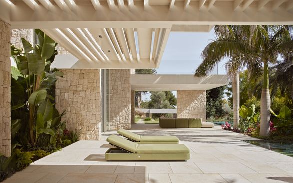 House Jacaranda