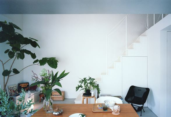 Overlap House
