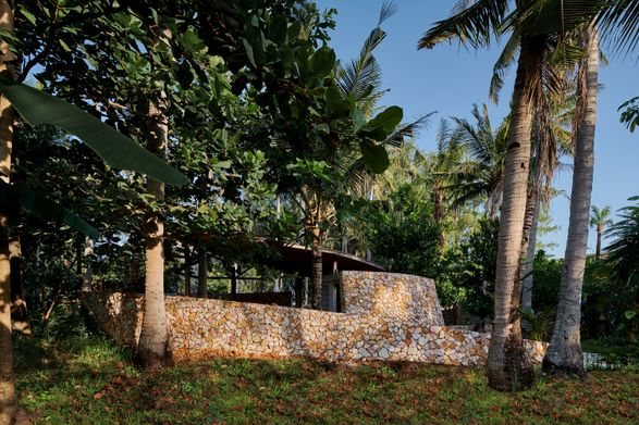 Coconut Wellness Garden