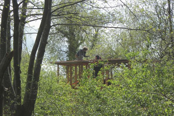 Hortus Installation