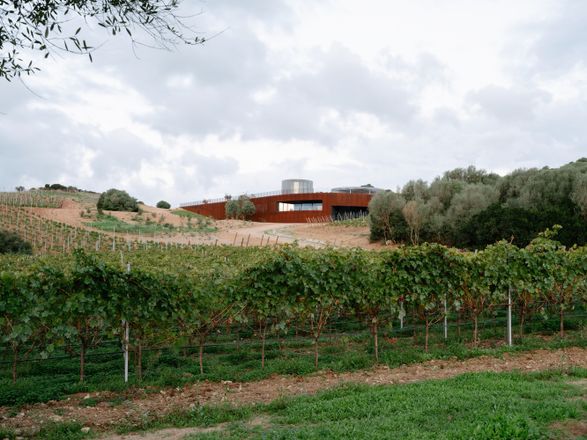 Winery Tenute Maestrale