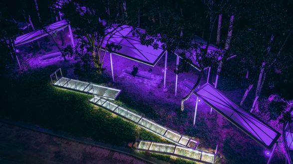 Floating Canopy Grove