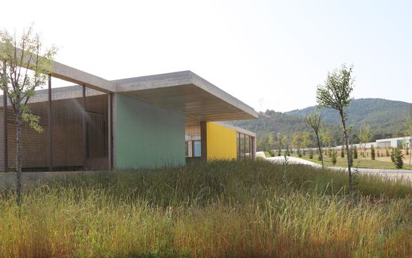 Pako Street Animal Social Life Campus