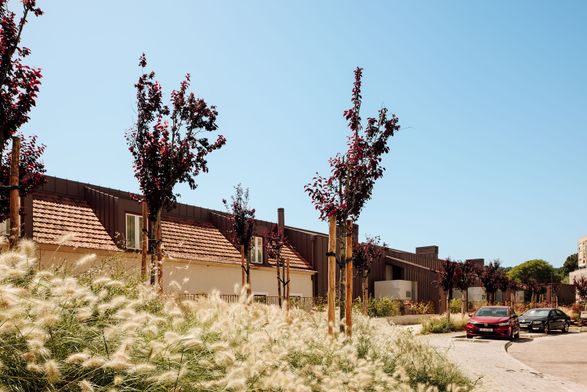 Montisnava Residential Building