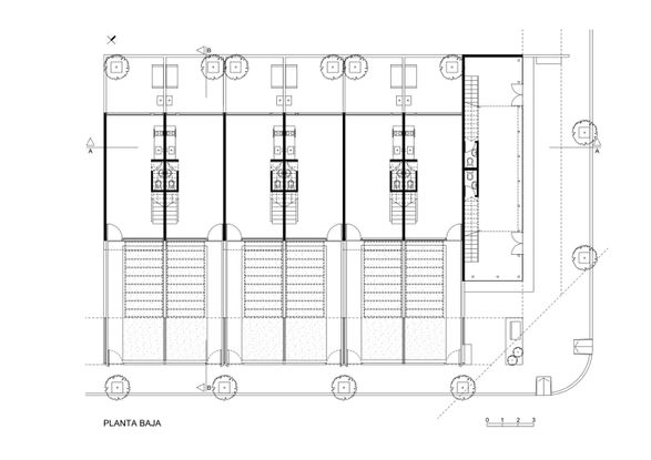Complejo Habitacional Y Comercial Camellia
