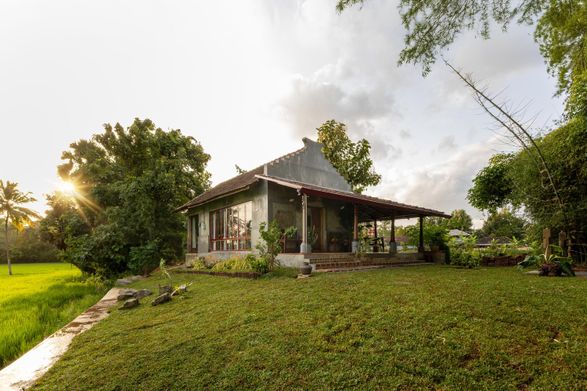 Kalam By Paddy House