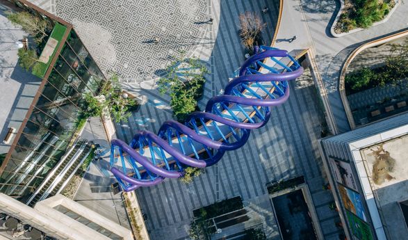 The Blue Rotary Membrane Bridge