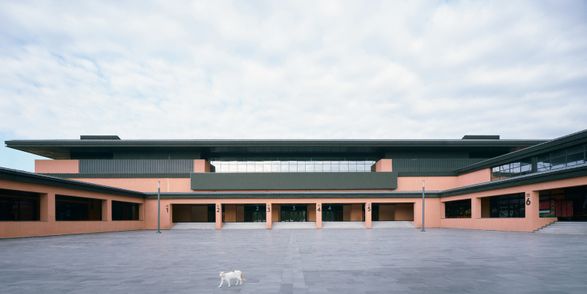 Basketball Development Center