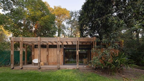 Forest Shelter