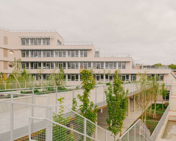 Dominique Frelaut School Group