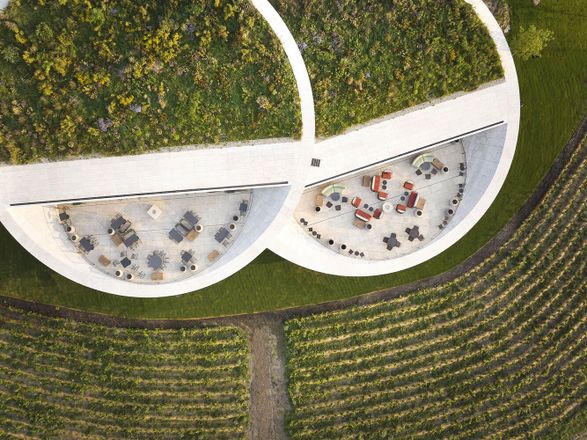 Tokaj Sauska Winery