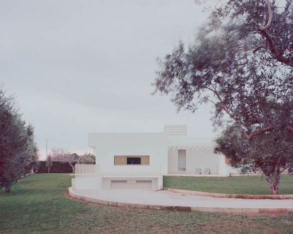Olive House