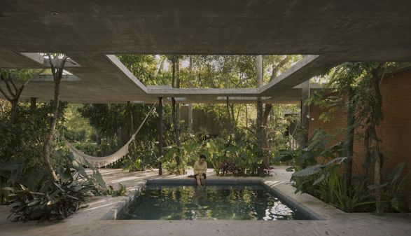A Forest In The House