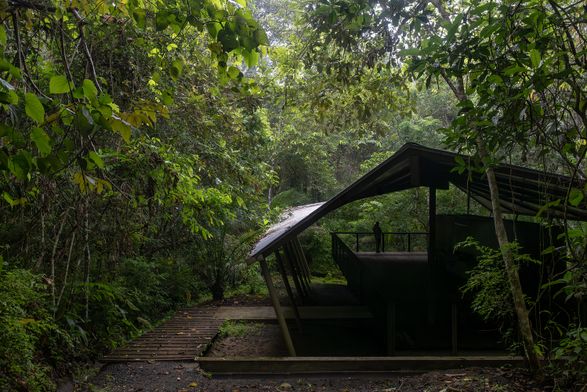 Refuge In The Rainforest - Tour Guide Training Center
