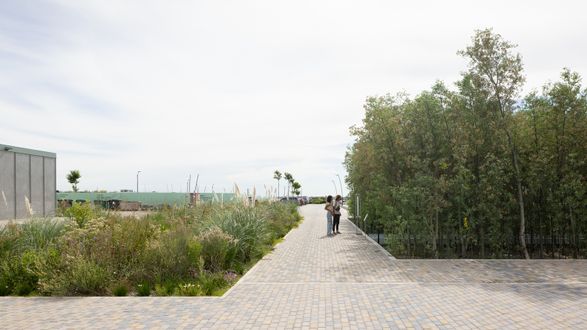 Malba Forest