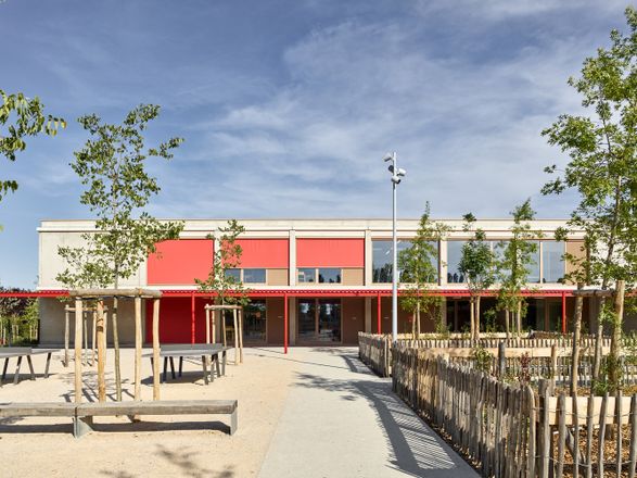 School Complex Of The Olive Tree