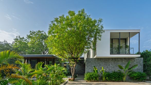 Neem Tree House