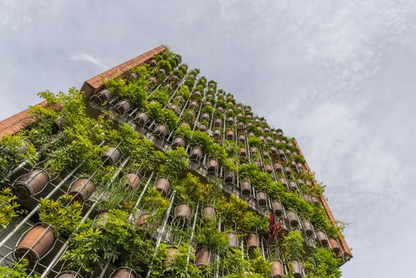 Flying Vegetation