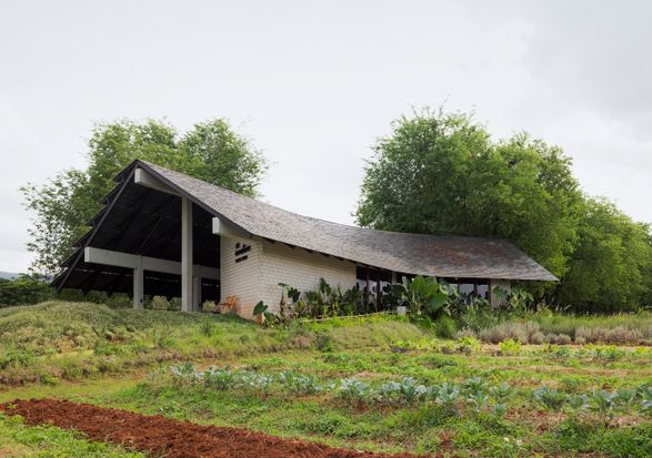 555 Sunshine Farmshop