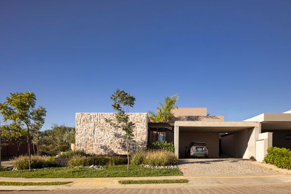 Avocado Tree House