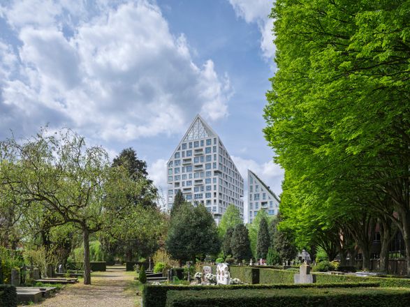 Nieuw Bergen