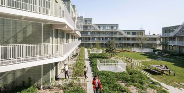 Steenzicht Social Housing